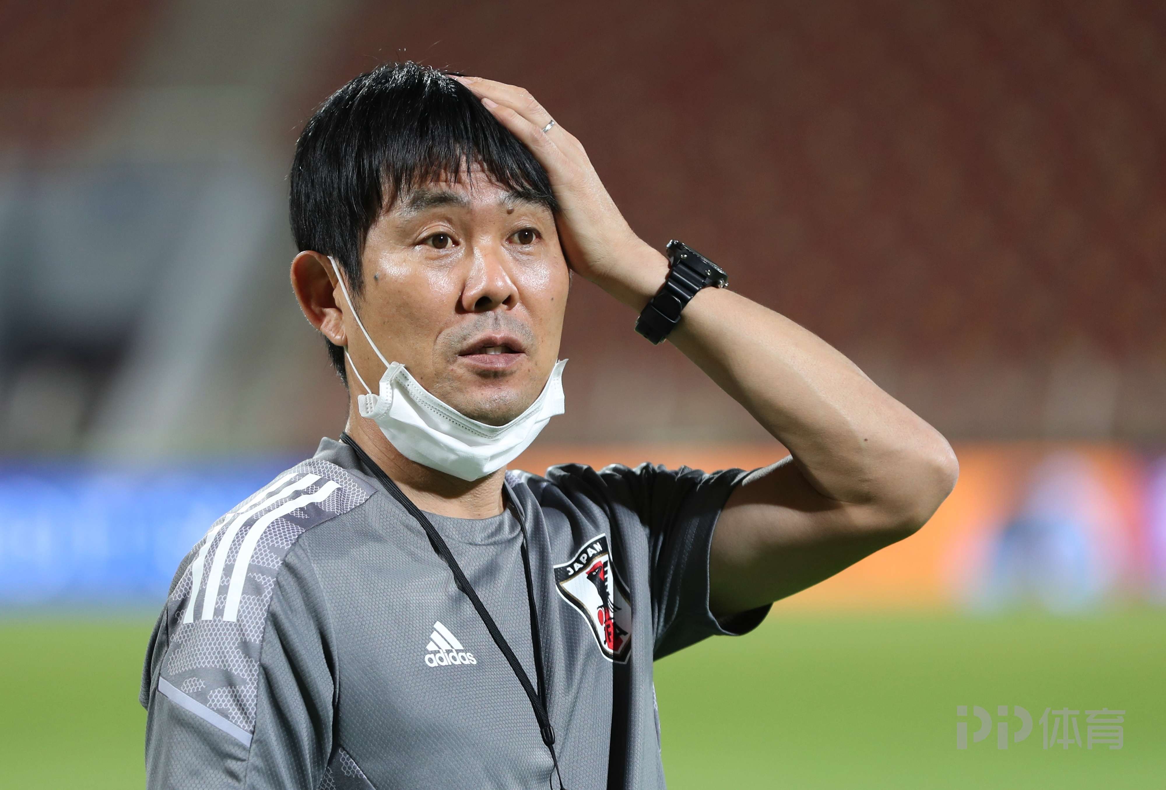 广东宏远男篮外援今天最新消息新闻